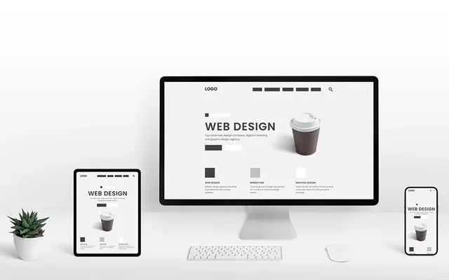 Important Characteristics of Effective Website Design