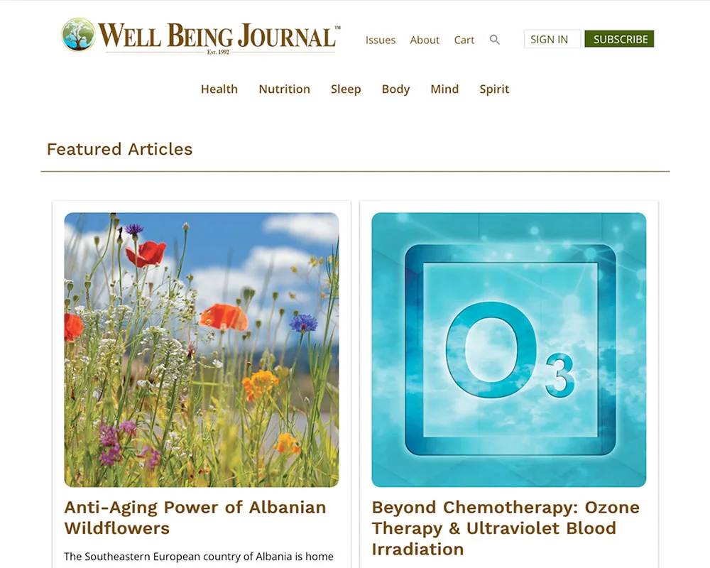 Well Being Journal website design